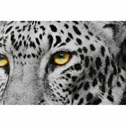 V10HC8E4E0C0FDC9F2F23D21CCF2EF99800AR6373344P2