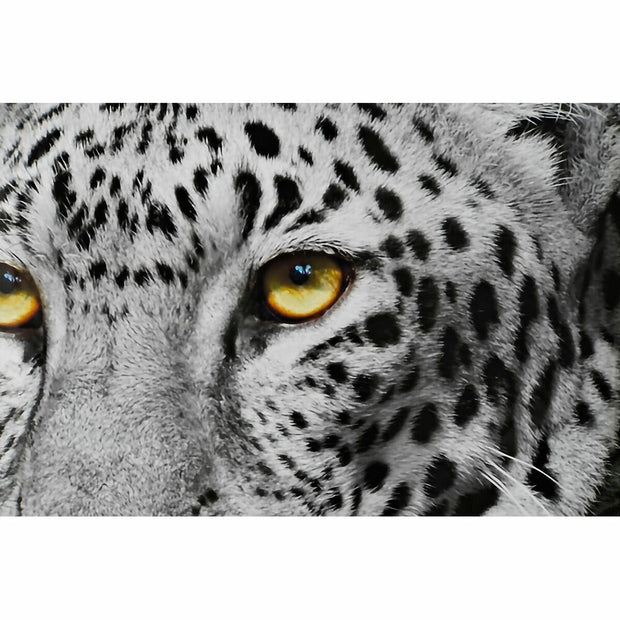 V10HC8E4E0C0FDC9F2F23D21CCF2EF99800AR6373344P2