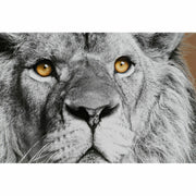 V10HD069F78BFC0663603BC28F4AD630D9F5R6373345P3