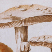 V8HEC8E3790E5246BF69B5A56302B7FBEACR6372521P3