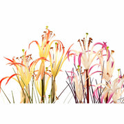 V8H7F5E5F48745914749528158FD66A1C5CR6377939P2